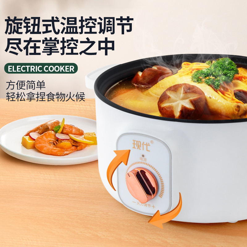 Çok Fonksiyonlu Mini Elektrikl - Home Cooking Electric incelemesi ve fiyatı
